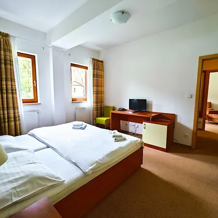 巴藏特酒店 酒店 卡罗维发利