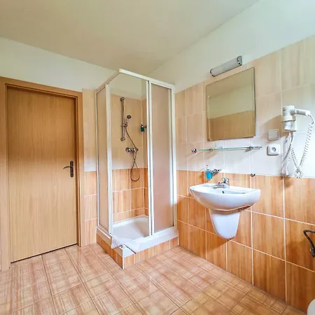 巴藏特酒店 3* 卡罗维发利